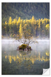 Wandsticker Morgenstimmung am Hintersee