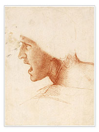 Stampa  Testa di guerriero - Leonardo da Vinci