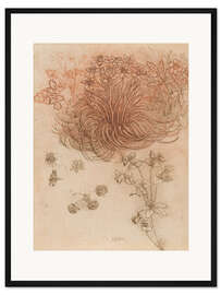 Gerahmter Kunstdruck Stern von Bethlehem