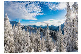 Foam board print Winter wonderland in the Algäu