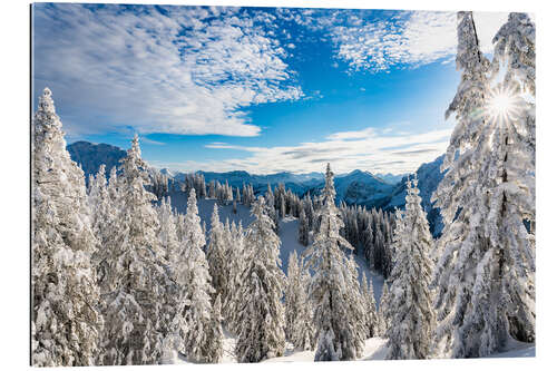 Gallery print Winter wonderland in the Algäu