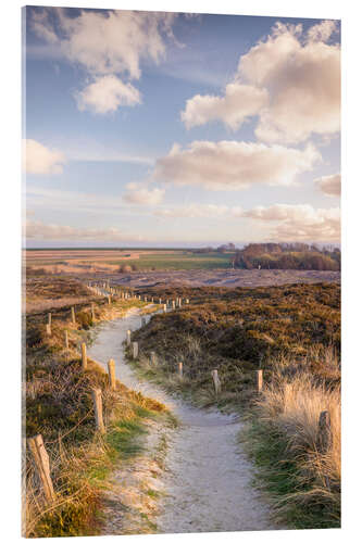 Acrylic print Path through the nature reserve Morsum cliff on Sylt