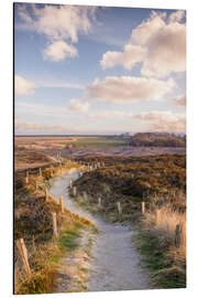 Magnettafel Weg durch das Naturschutzgebiet Morsum-Kliff auf Sylt