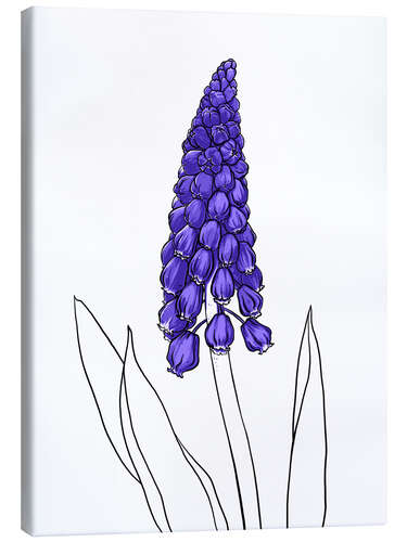 Tableau sur toile Muscari