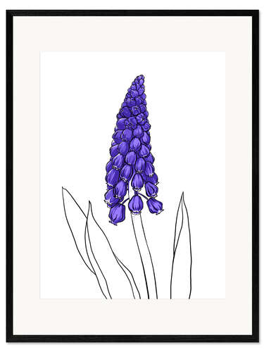 Kehystetty taidepainatus Muscari