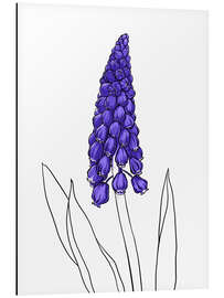 Magnettafel Traubenhyazinthe