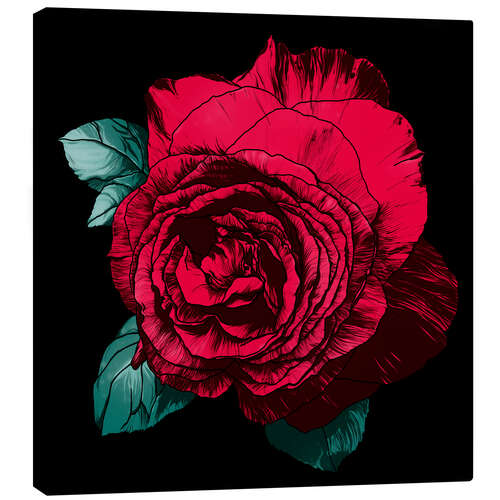 Canvas print Red rose on black