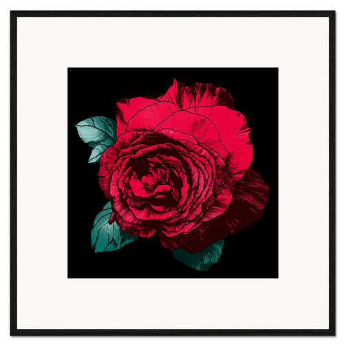 Ingelijste kunstdruk Red rose on black