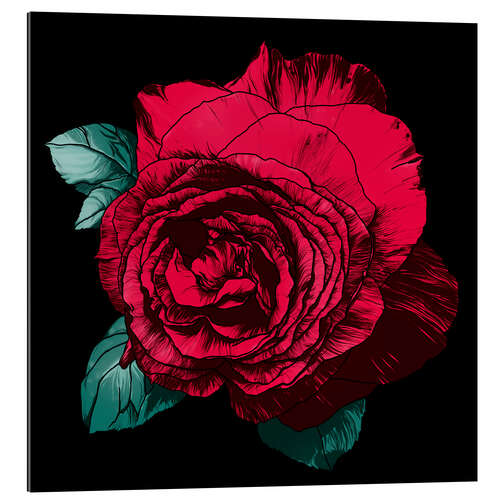 Galleriprint Red rose on black