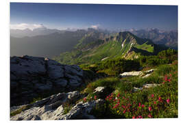 Foam board print Mountain idyll in the Allgäu Alps