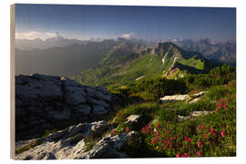 Hout print Mountain idyll in the Allgäu Alps