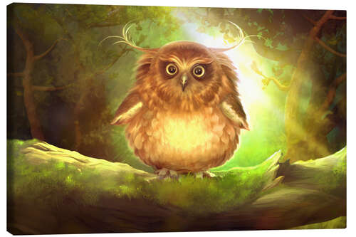 Canvas print Chubby owl