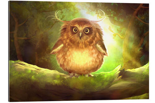 Gallery print Chubby owl