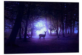 Aluminium print Night forest