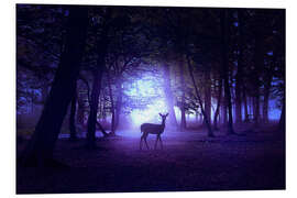 Foam board print Night forest