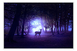 Poster Night forest