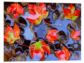 Tableau en PVC Feuilles d'érable dans l'eau