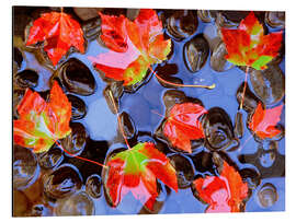 Magnettafel Herbstblätter im Wasser