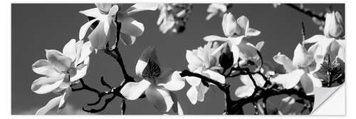 Wall sticker Asian magnolia blossoms