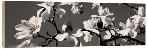 Tableau en bois Fleurs de magnolia asiatique