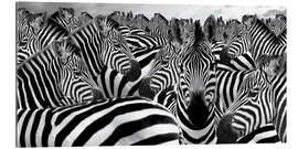 Galleriprint Herd of zebras