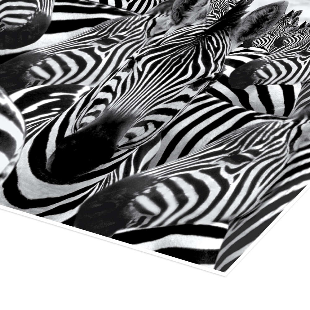 Herd of Zebras Print Serengeti Plains of Africa Fine Art Panoramic Vintage Boho Black and store White Stripes 3x1 Wrapped Canvas or Metal Art