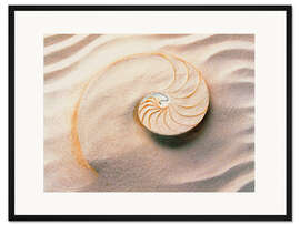 Gerahmter Kunstdruck Muschel im Sand