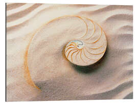 Magnettafel Muschel im Sand