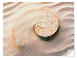 Selvklebende plakat Seashell in the sand