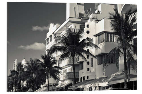 Alubild Palmen am Ocean Drive