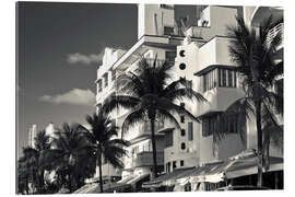 Gallery print Palm trees on Ocean Drive