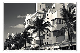 Poster Palm trees on Ocean Drive