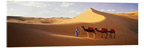 Cuadro de metacrilato Camellos en el desierto