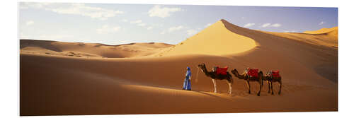 PVC print Camels in the desert