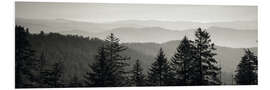 Foam board print Trees with a mountain range in the background