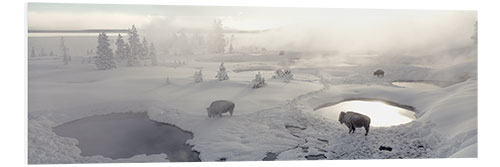 Foam board print West Thumb Geyser Basin in Yellowstone