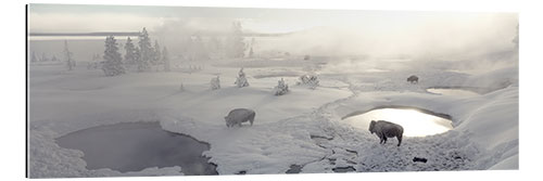 Gallery print West Thumb Geyser Basin in Yellowstone