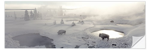 Wall sticker West Thumb Geyser Basin in Yellowstone