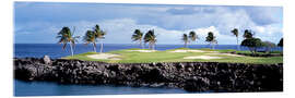 Acrylglas print Golf course in Hawaii