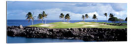 Gallery print Golf course in Hawaii