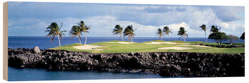 Holzbild Golfplatz auf Hawaii