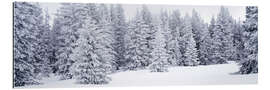 Galleriprint Fresh snow on pine trees