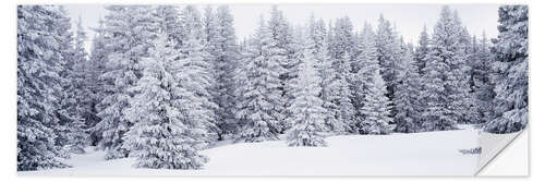 Selvklæbende plakat Fresh snow on pine trees