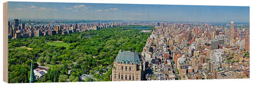 Trebilde Aerial view of Manhattan and Central Park