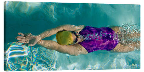 Tableau sur toile Dos crawlé dans une piscine