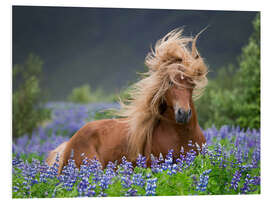 Tableau en PVC Cheval dans les lupins