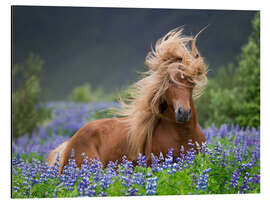 Magnettafel Pferd zwischen Lupinen