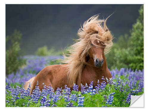 Wall sticker Horse between lupins