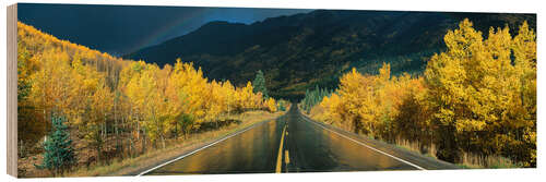 Wood print Million Dollar Highway