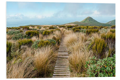 Foam board print Lonely hiking trail through national park